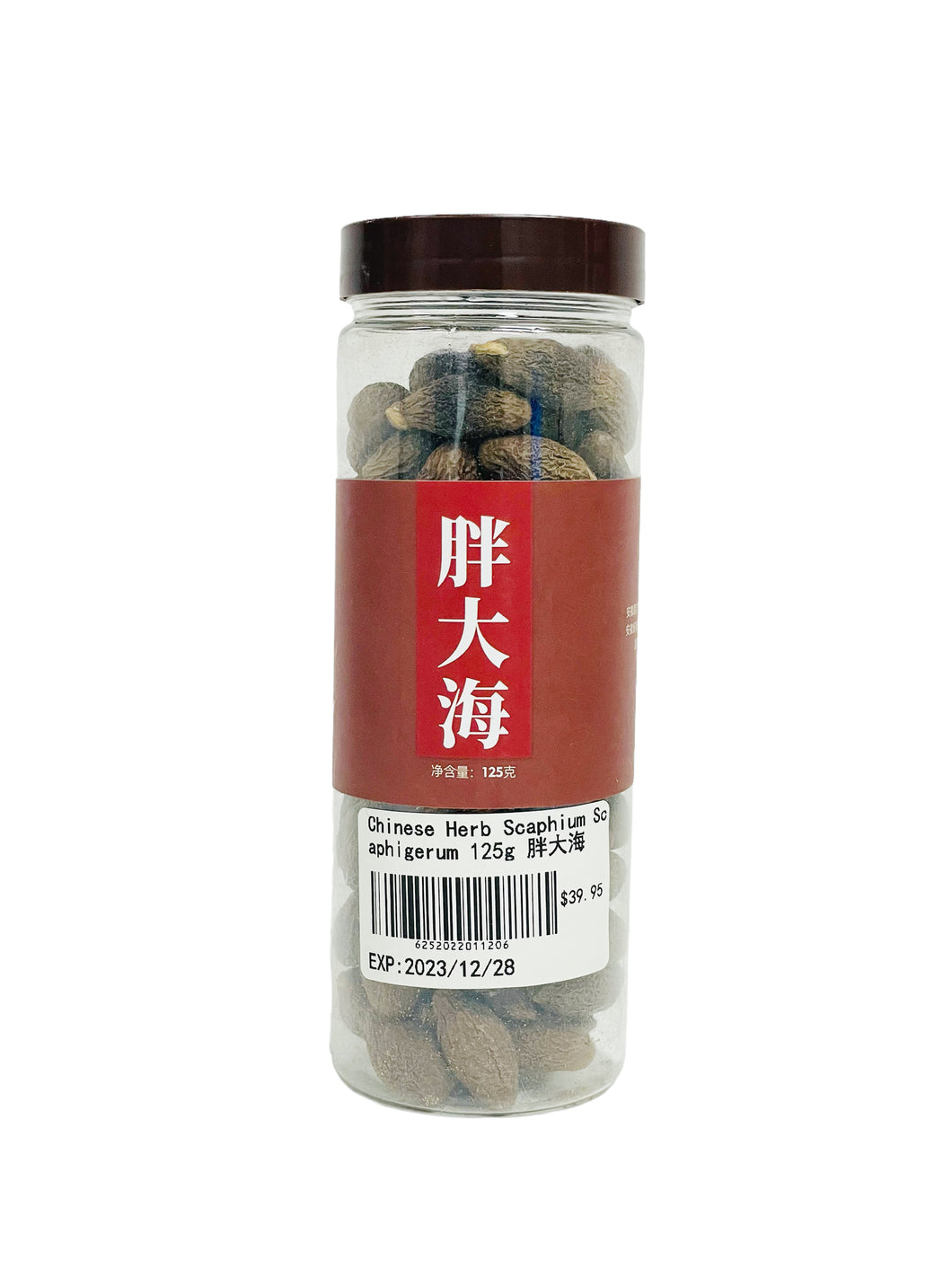 Chinese Herb Scaphium scaphigerum 胖大海