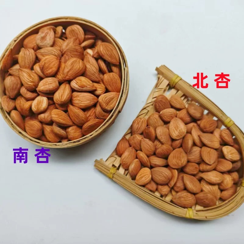 Chinese Almond 南北杏