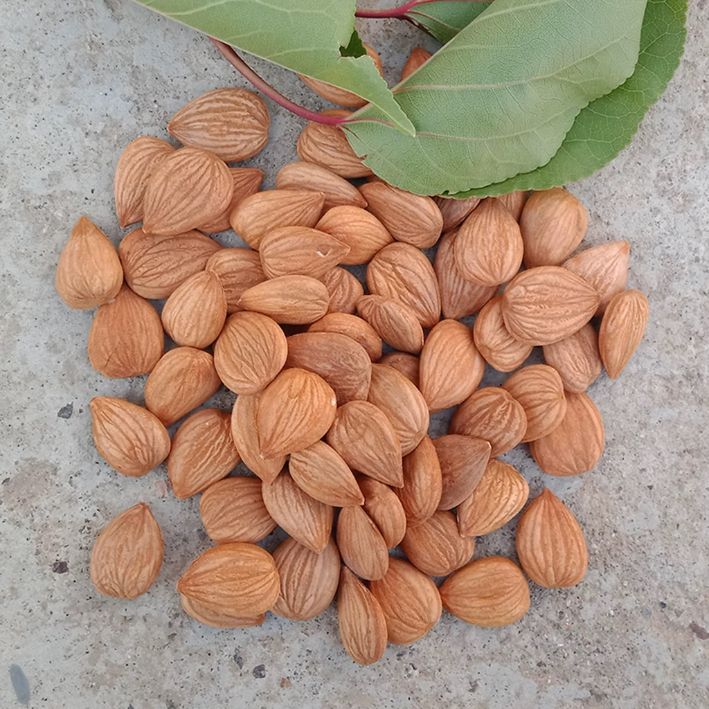 [2022011216] Dried Almond 南杏仁